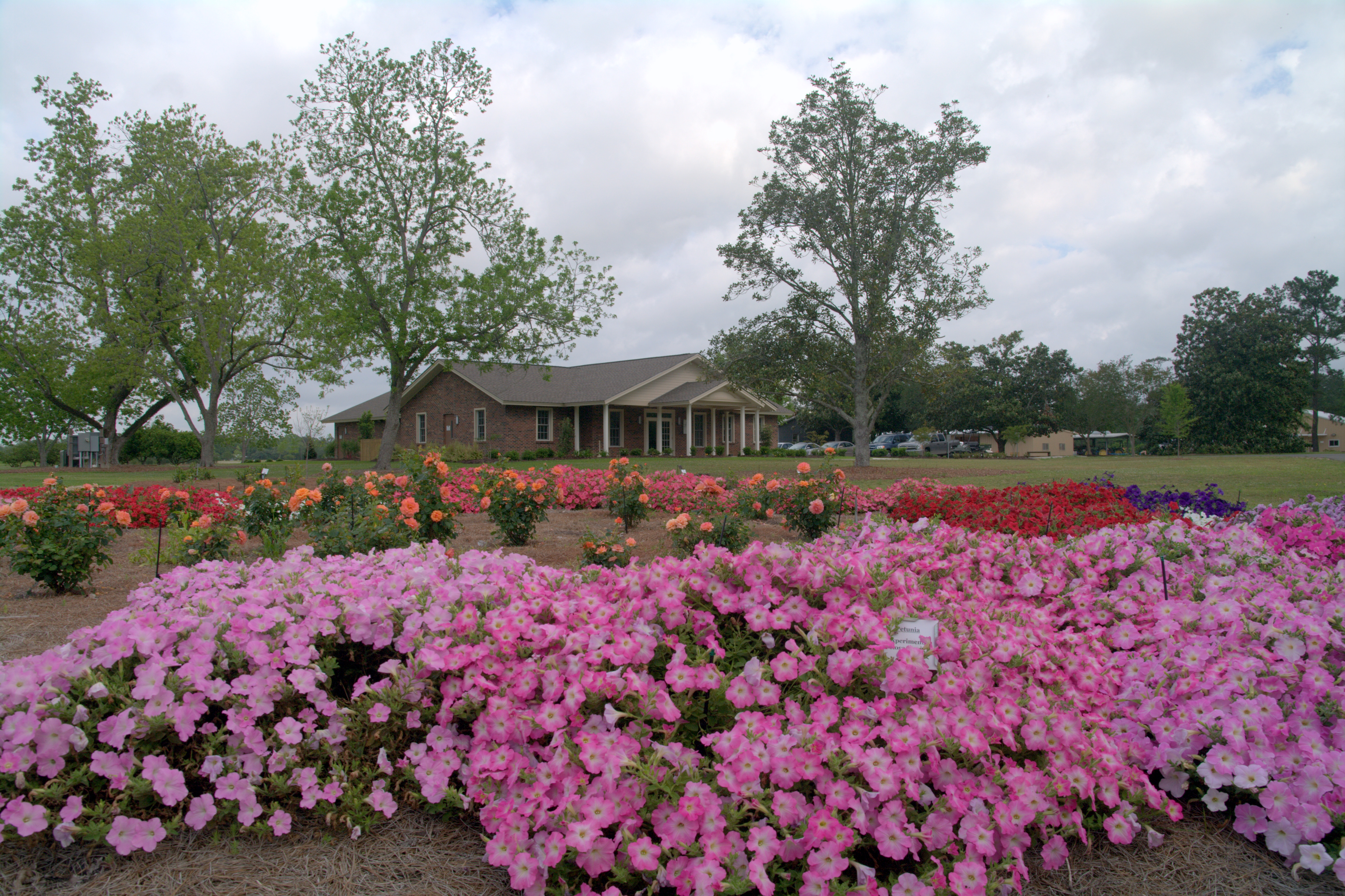Stroll through Hammond Research Station gardens May 8