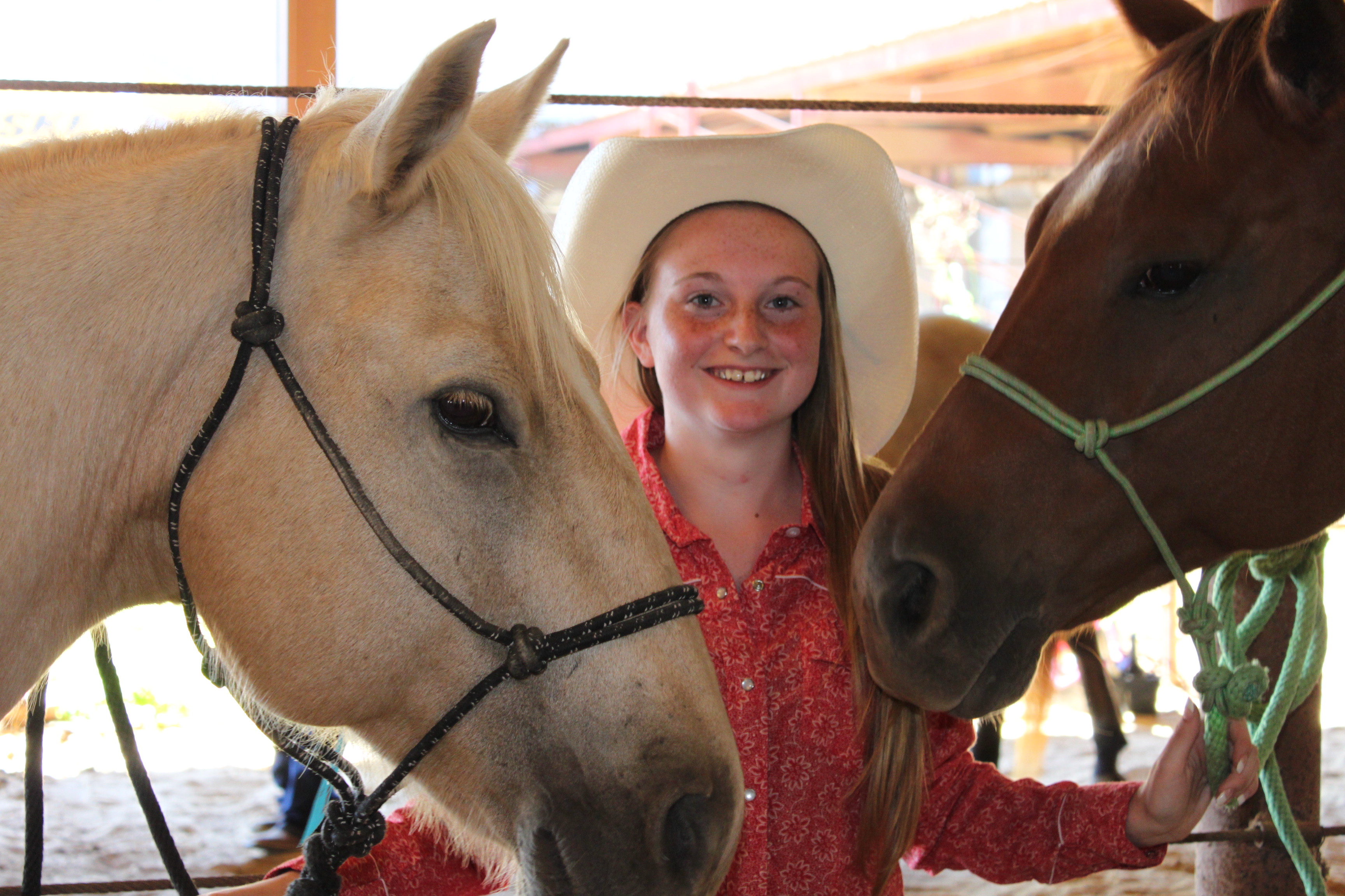 2013 Livestock Results