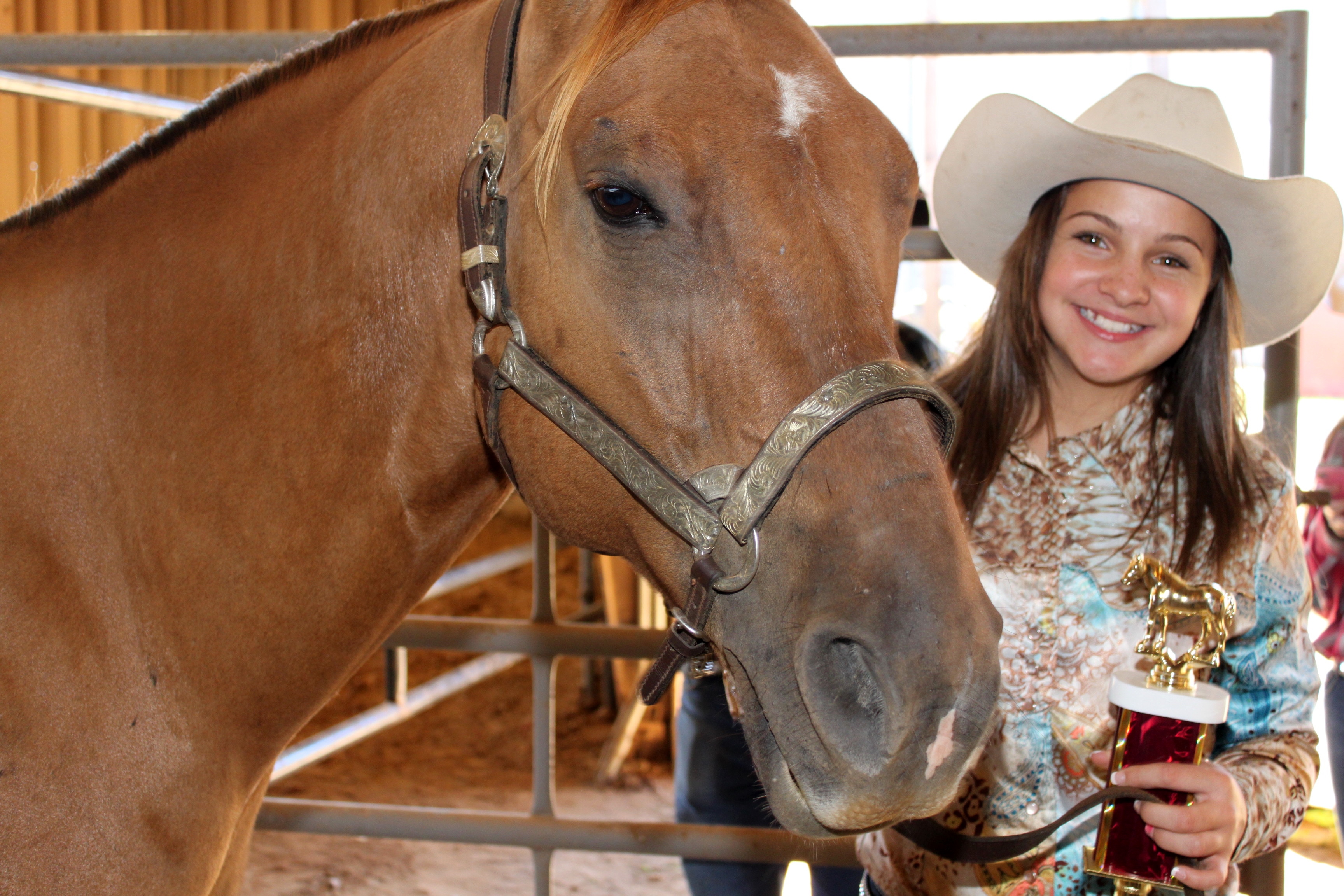2013 Horse Show