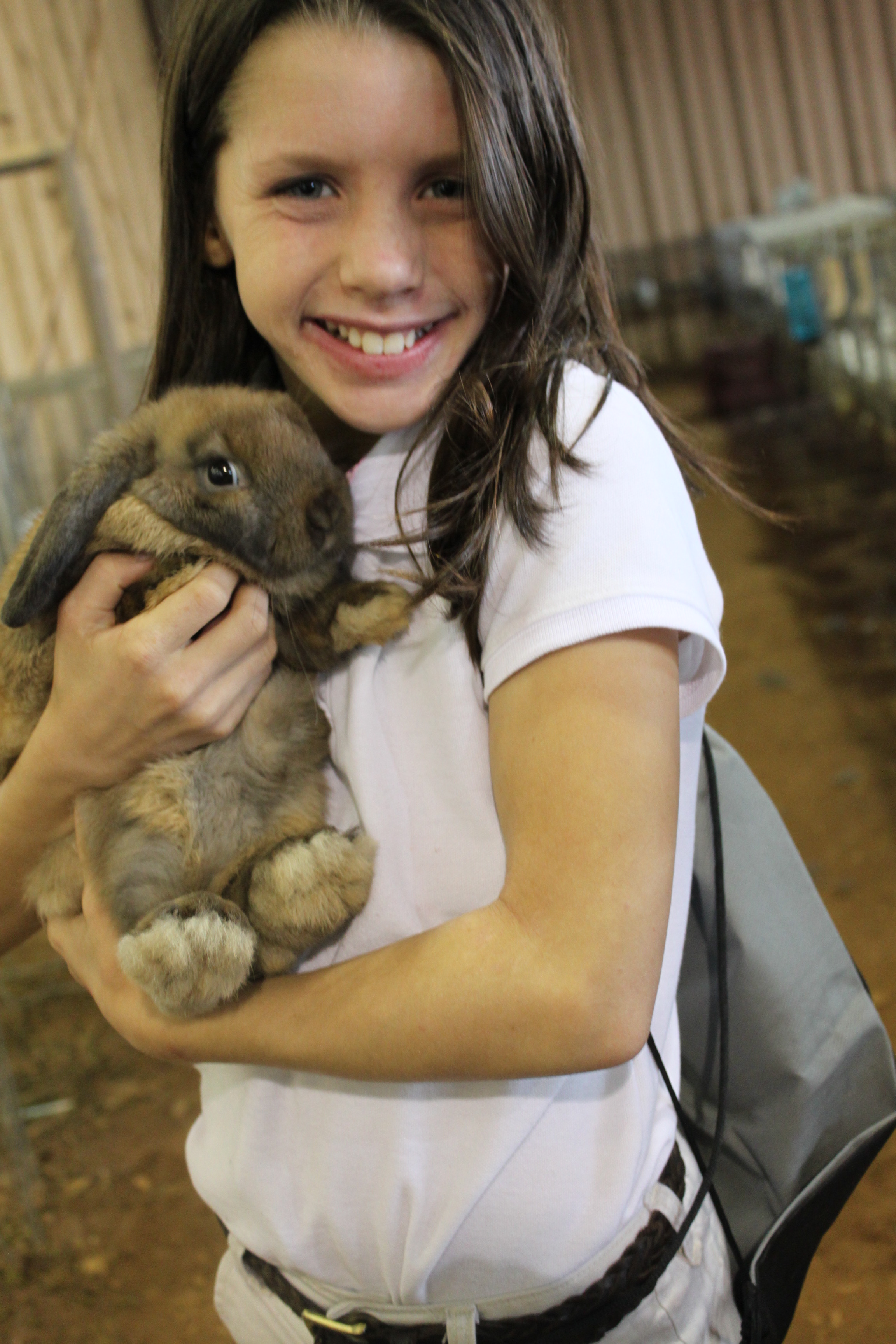 2013 Rabbit Show