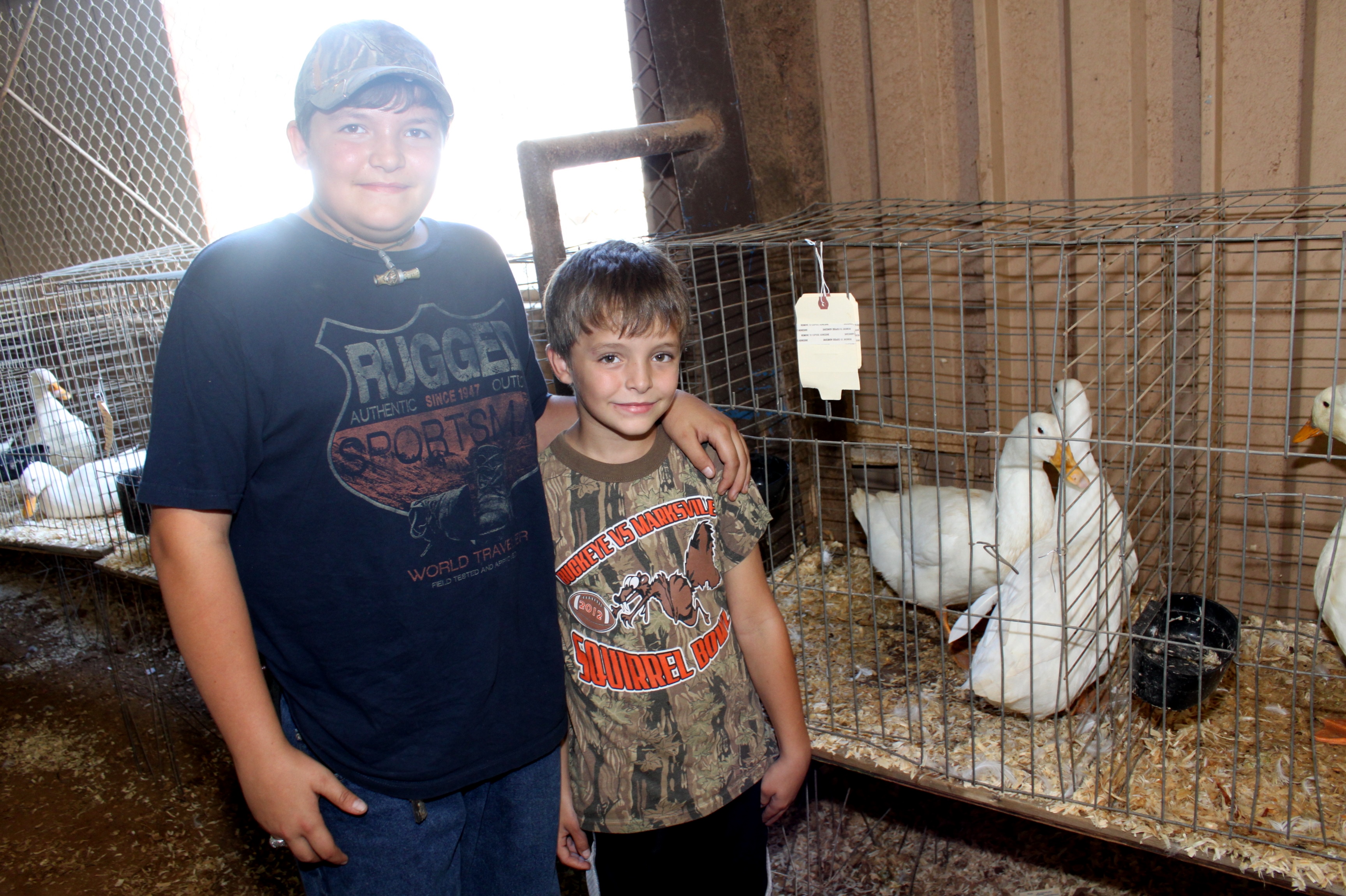 2013 Poultry Show