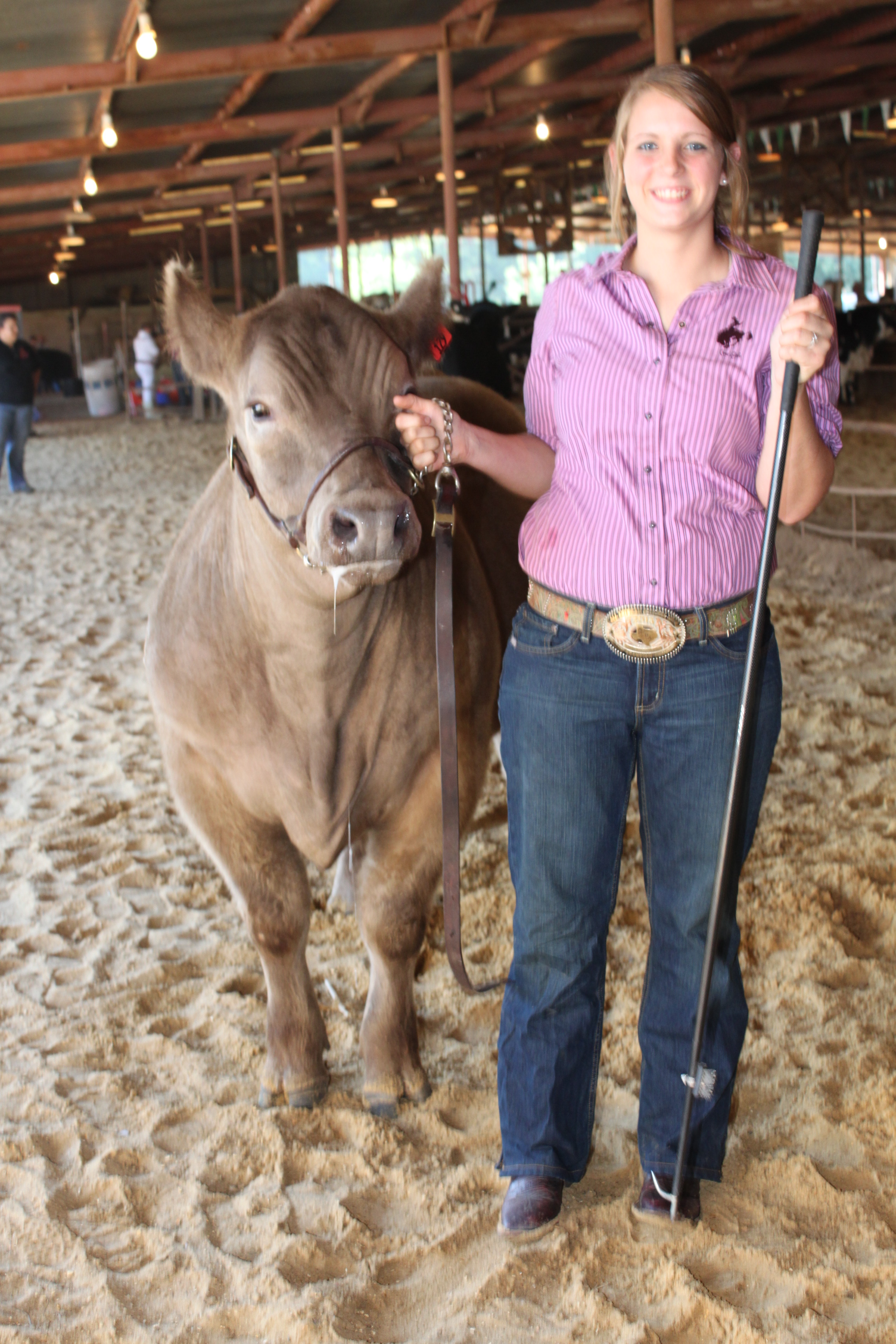 2013 Beef Show