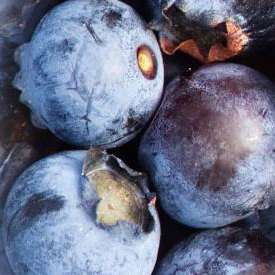 Small Fruits