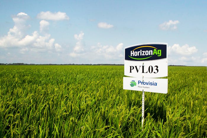 Thanks to industry partnership, AgCenter learns Louisiana’s most widely grown rice variety has low glycemic index