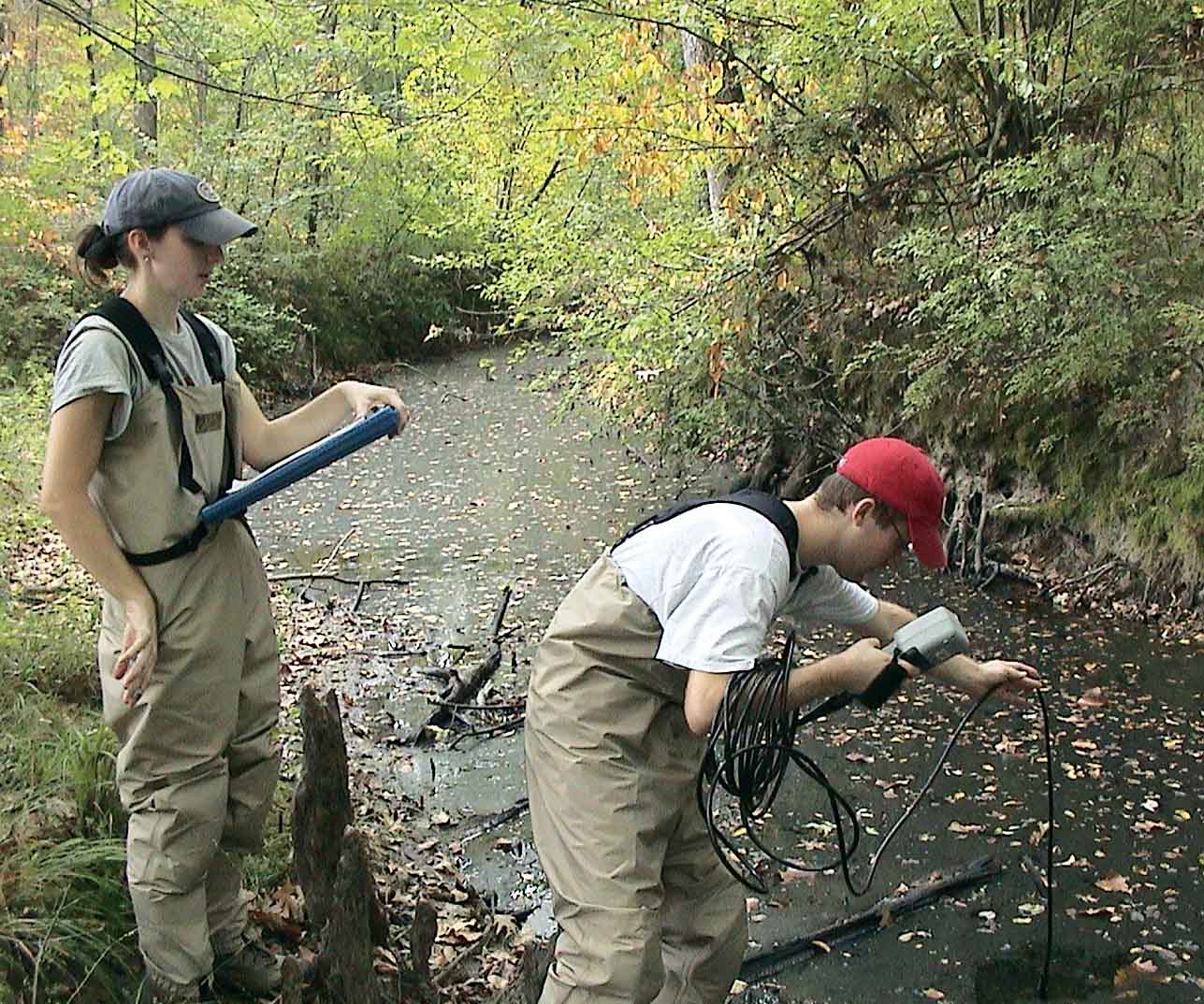 Forestry BMPs Protect Water Quality in Louisiana’s Streams, Bayous and Lakes