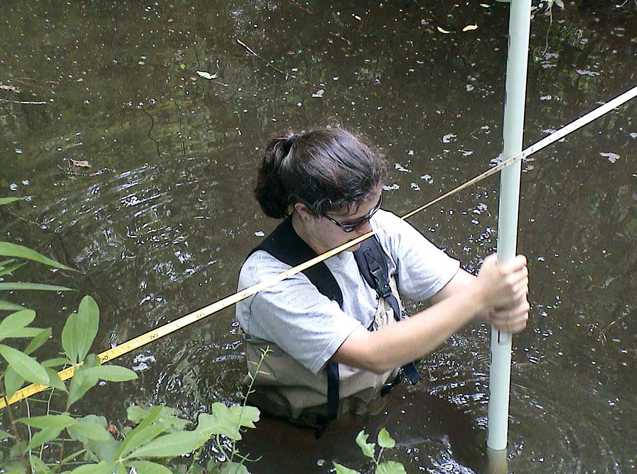 Adrienne Viosca conducts a stream channel cross-sectional profiling