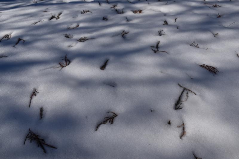 SnowJPG
