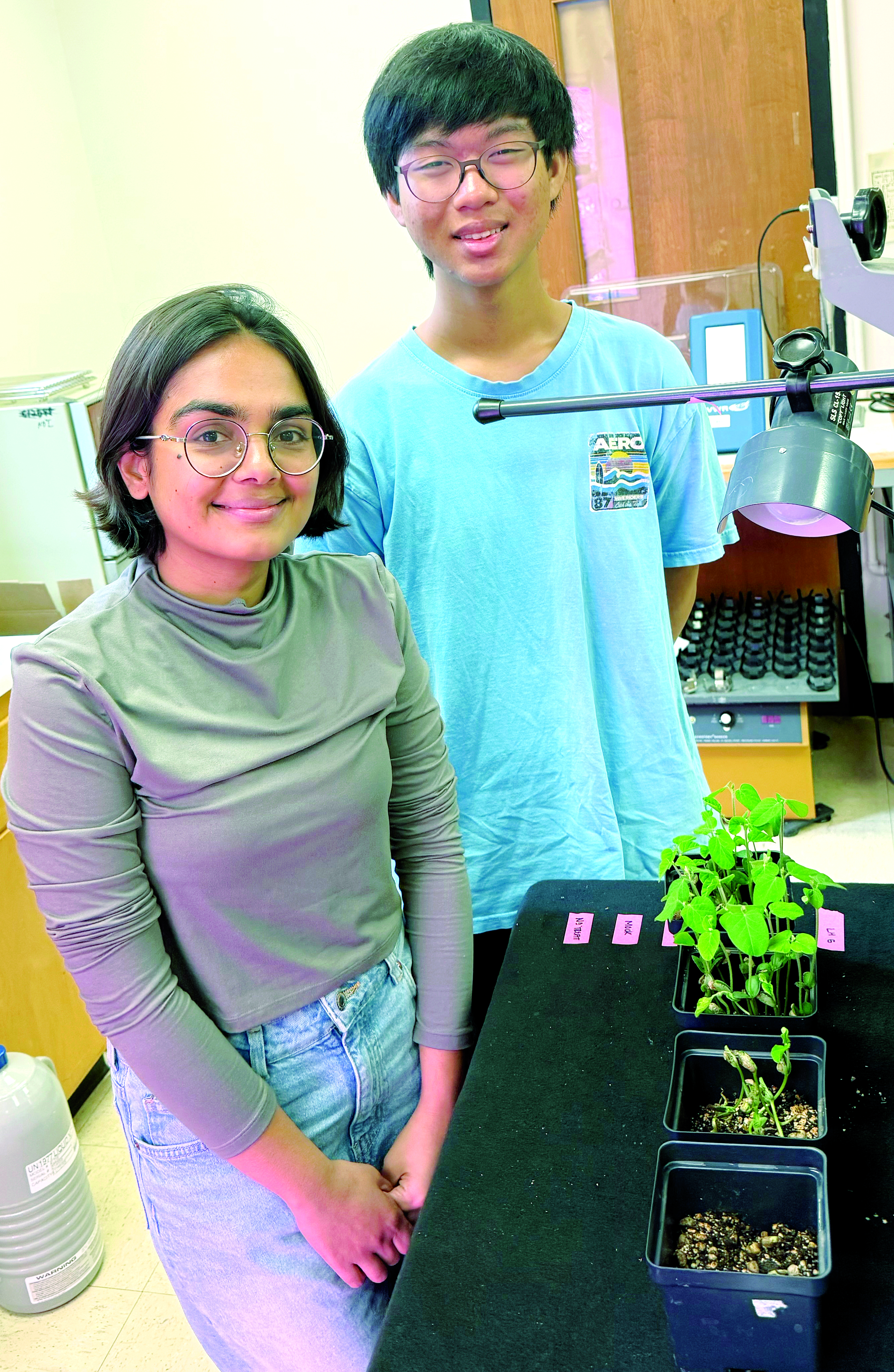 Plant-Derived Natural Molecules Are New Tools to Manage Important Fungal Diseases in Soybeans 
