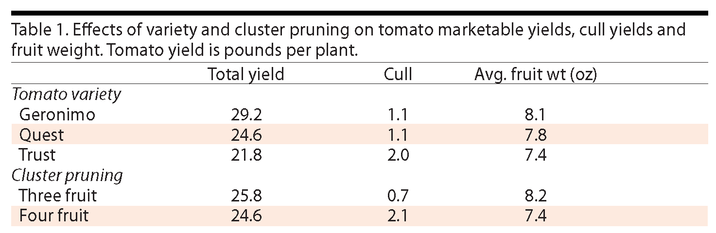 Choosing Varieties and Root Media for Successful Greenhouse Tomato Production
