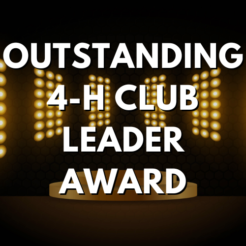 Outstanding 4-H Club Leader Award
