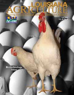 Louisiana Agriculture Magazine Fall 2003