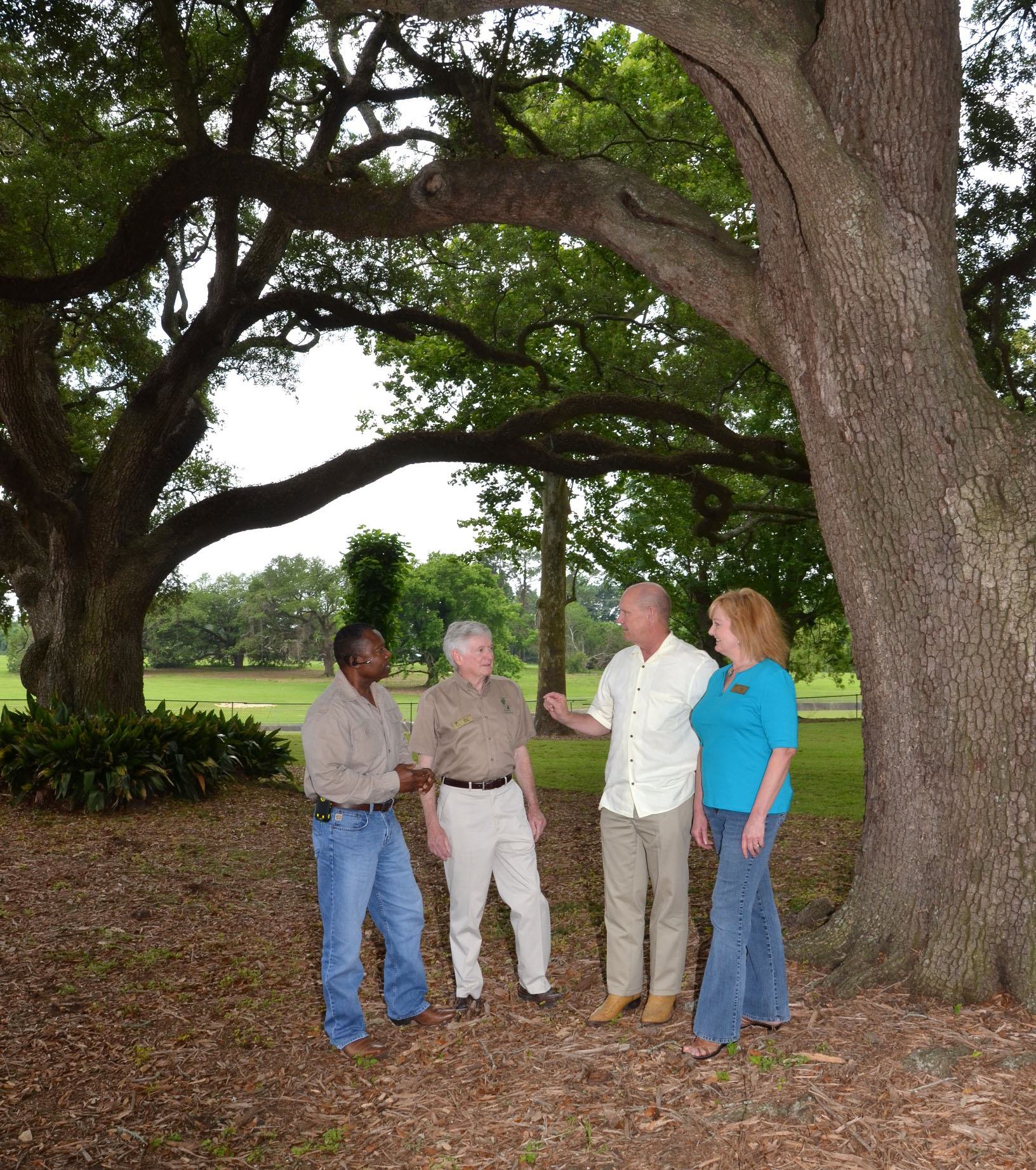 more Master Gardeners
