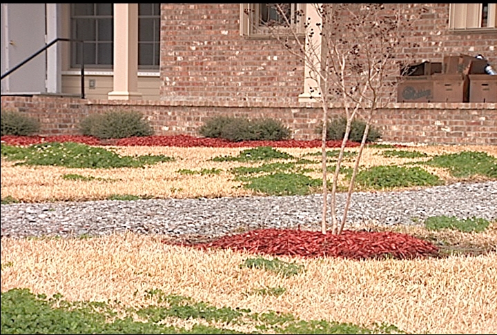 Effectively control weeds and fertilize lawns