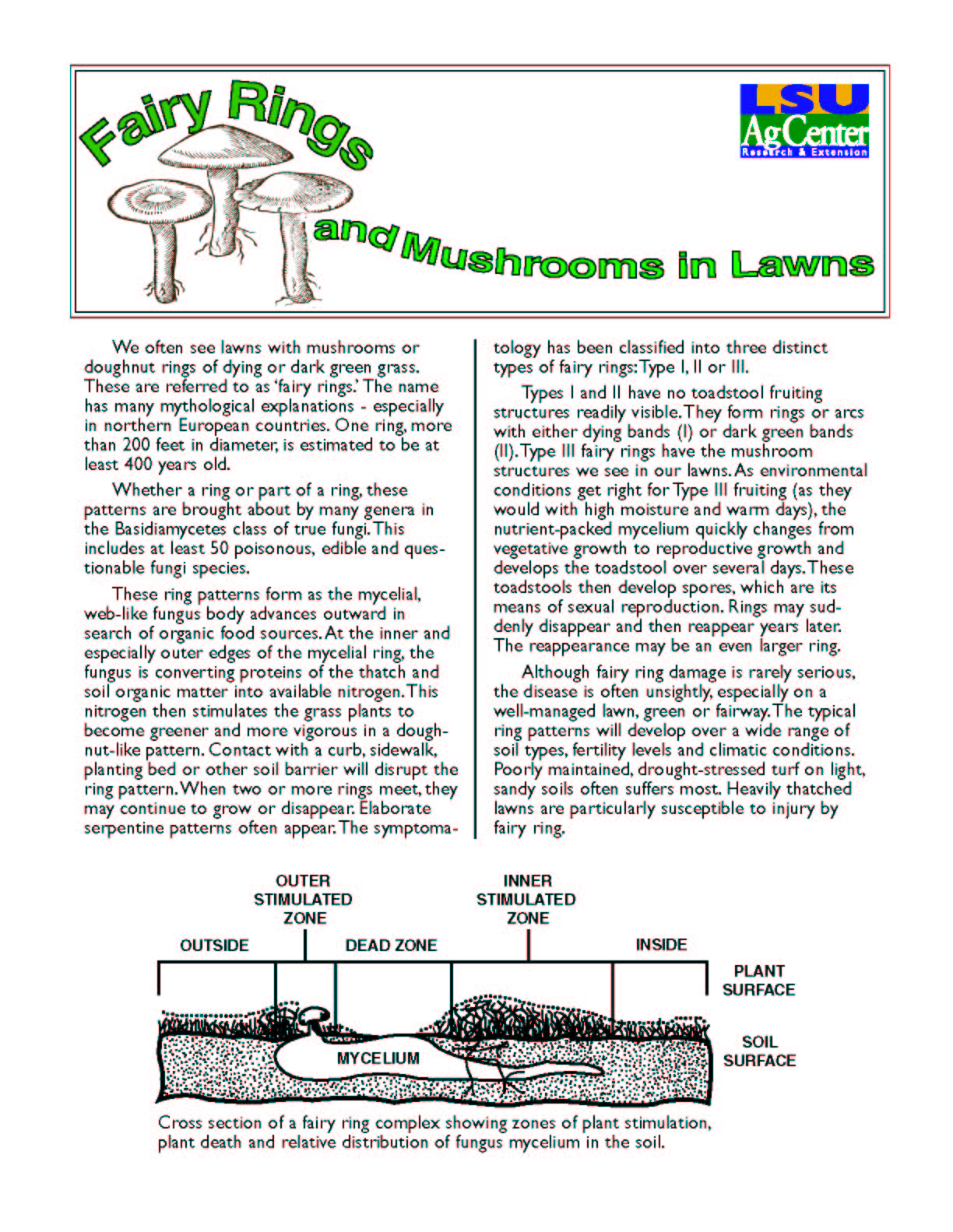 Fairy Rings and Mushrooms in Lawns