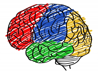 Brain Talk - Part 1