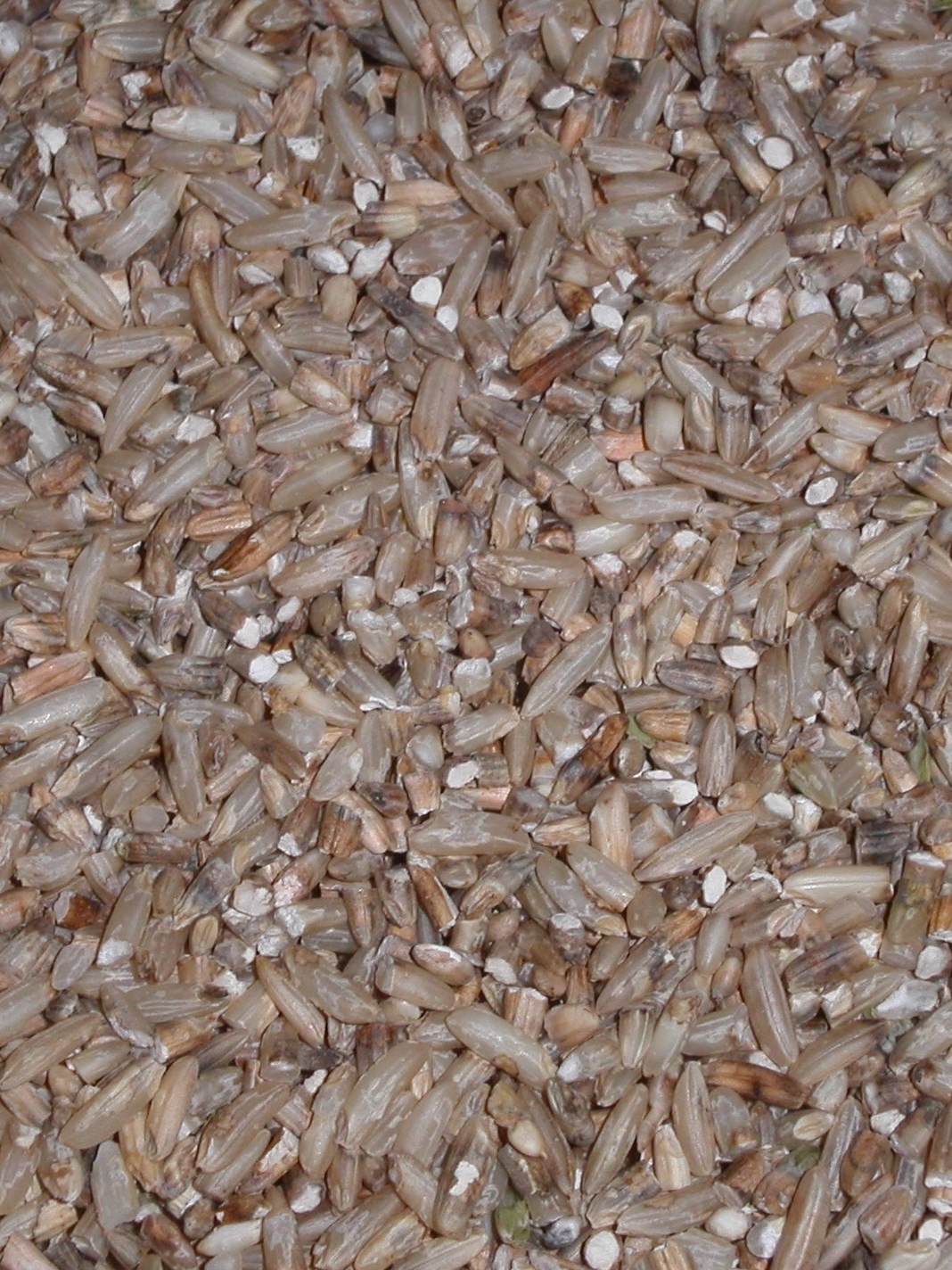 pecky rice