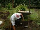 The Sunny Side of Gardening