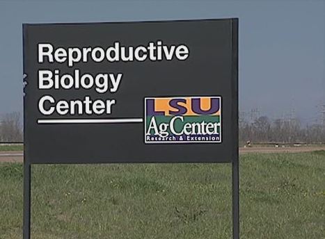 Reproductive Biology Center Video