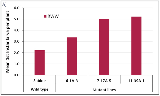 Bernaola_Chart4.jpg thumbnail