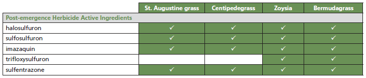 Capture3PNG