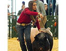livestockshowjpg