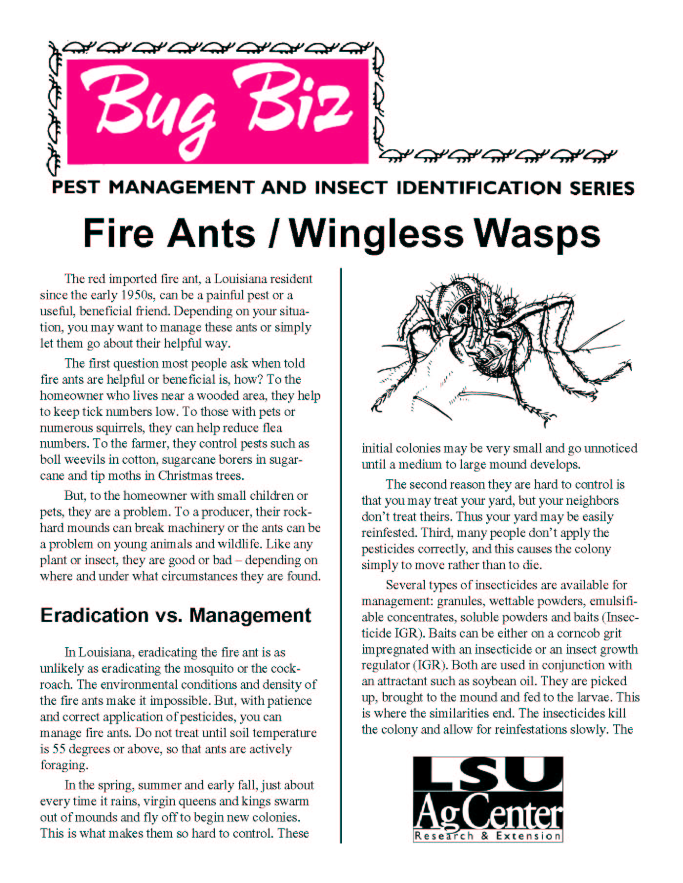 Bug Biz:  Fire Ants