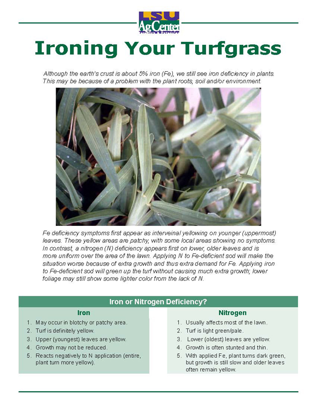 Ironing Your Turfgrass