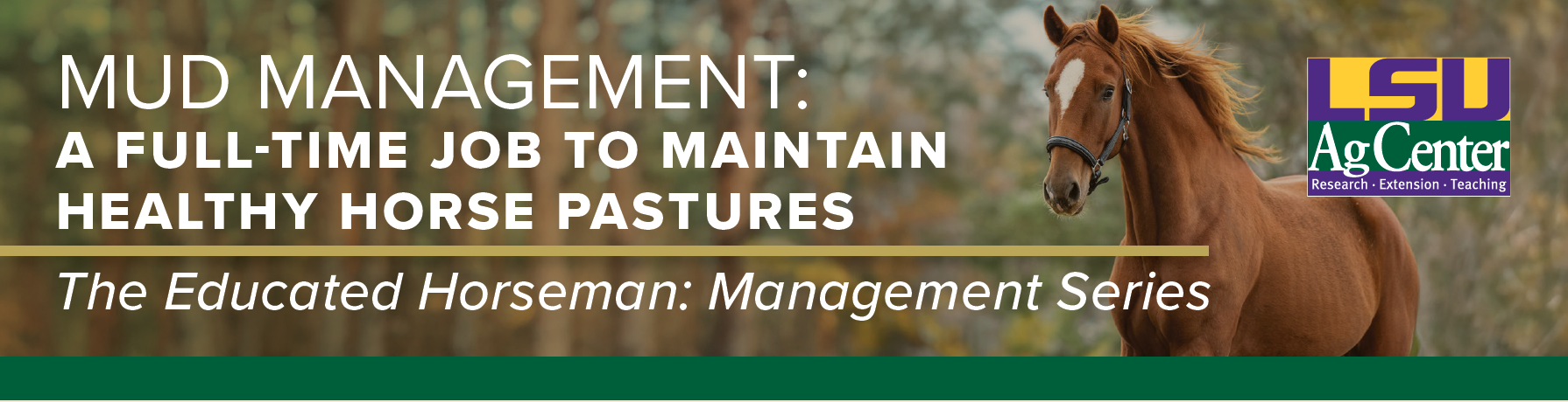 Mud Management: A Full-Time Job To Maintain Healthy Horse Pastures