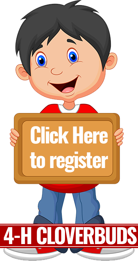 Cloverbuds Registration Link