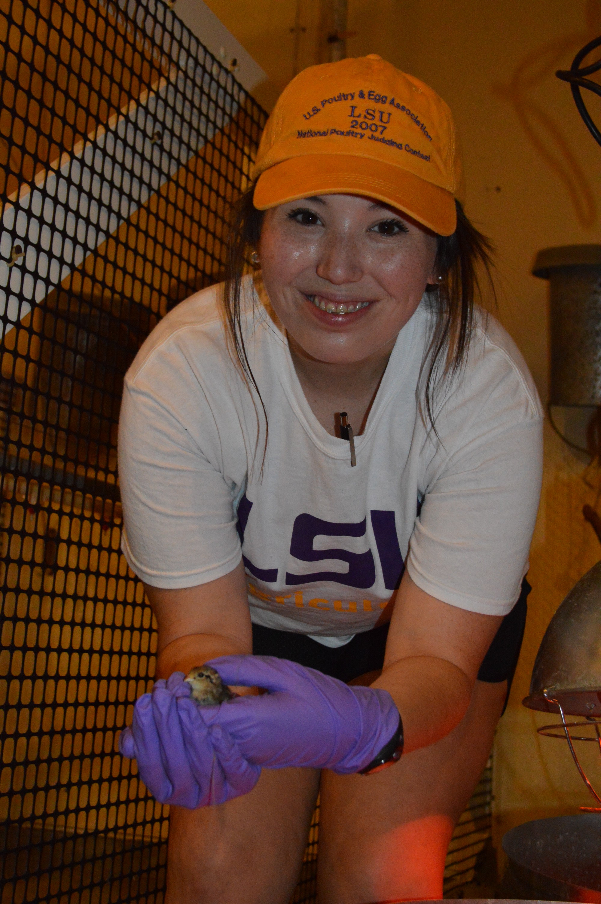 Grants promote LSU agriculture undergraduate research projects