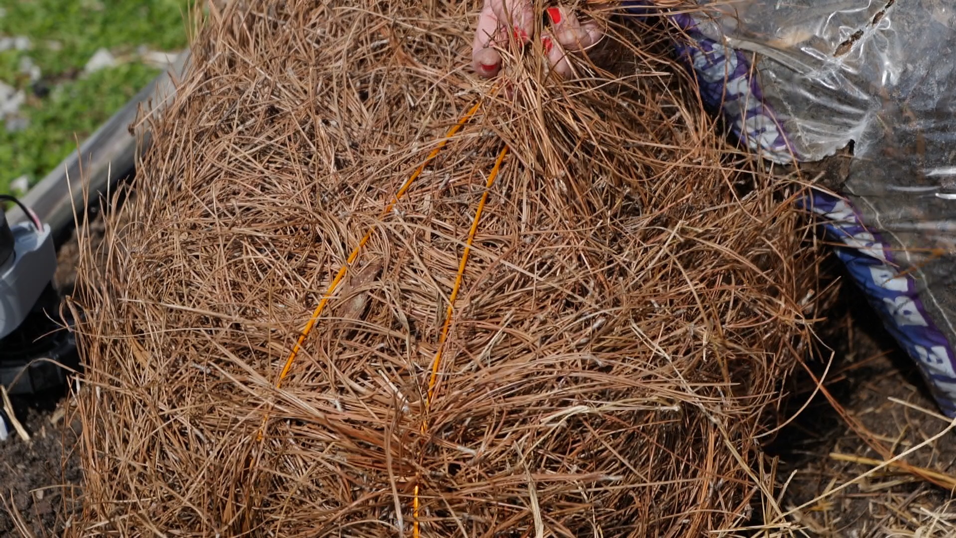 Get It Growing: How to attack weeds in your garden bed 