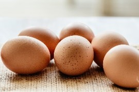 egg.jpg thumbnail