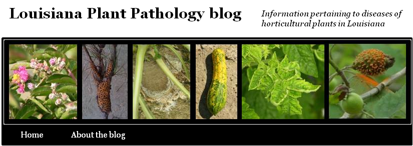Louisiana Plant Pathology blog