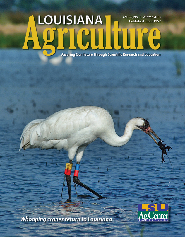 Louisiana Agriculture Magazine