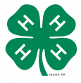 4-H Clover