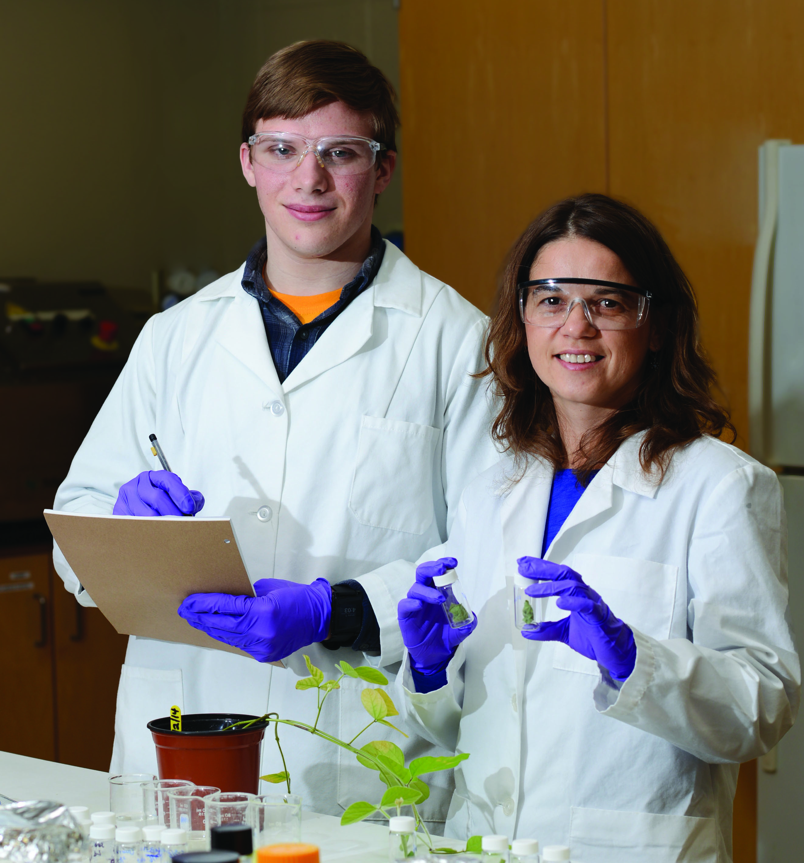Researchers look to nanoparticles to reduce pesticide use in agriculture