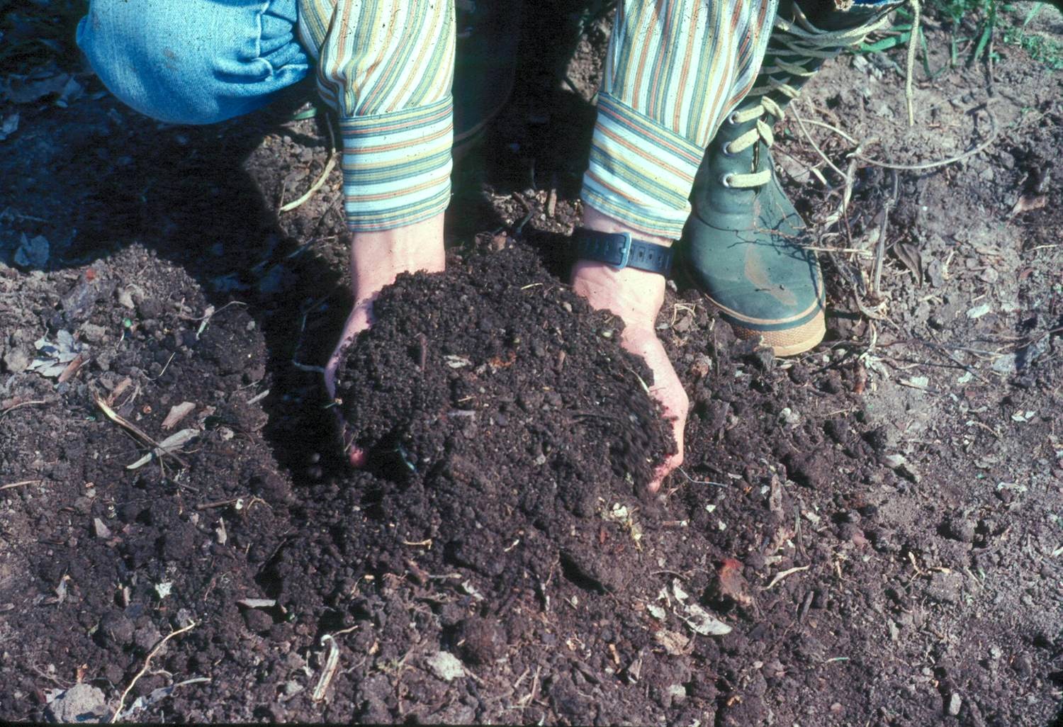 Complete Composting Information