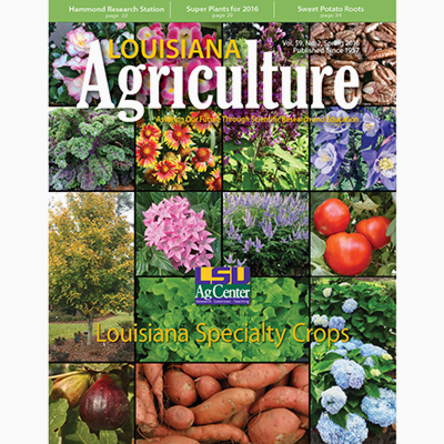Louisiana Agriculture Spring 2016 - PDF