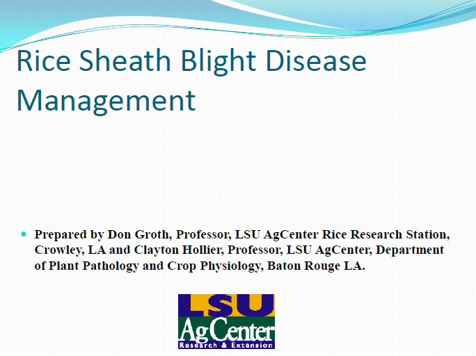 Rice Sheath Blight Disease Management