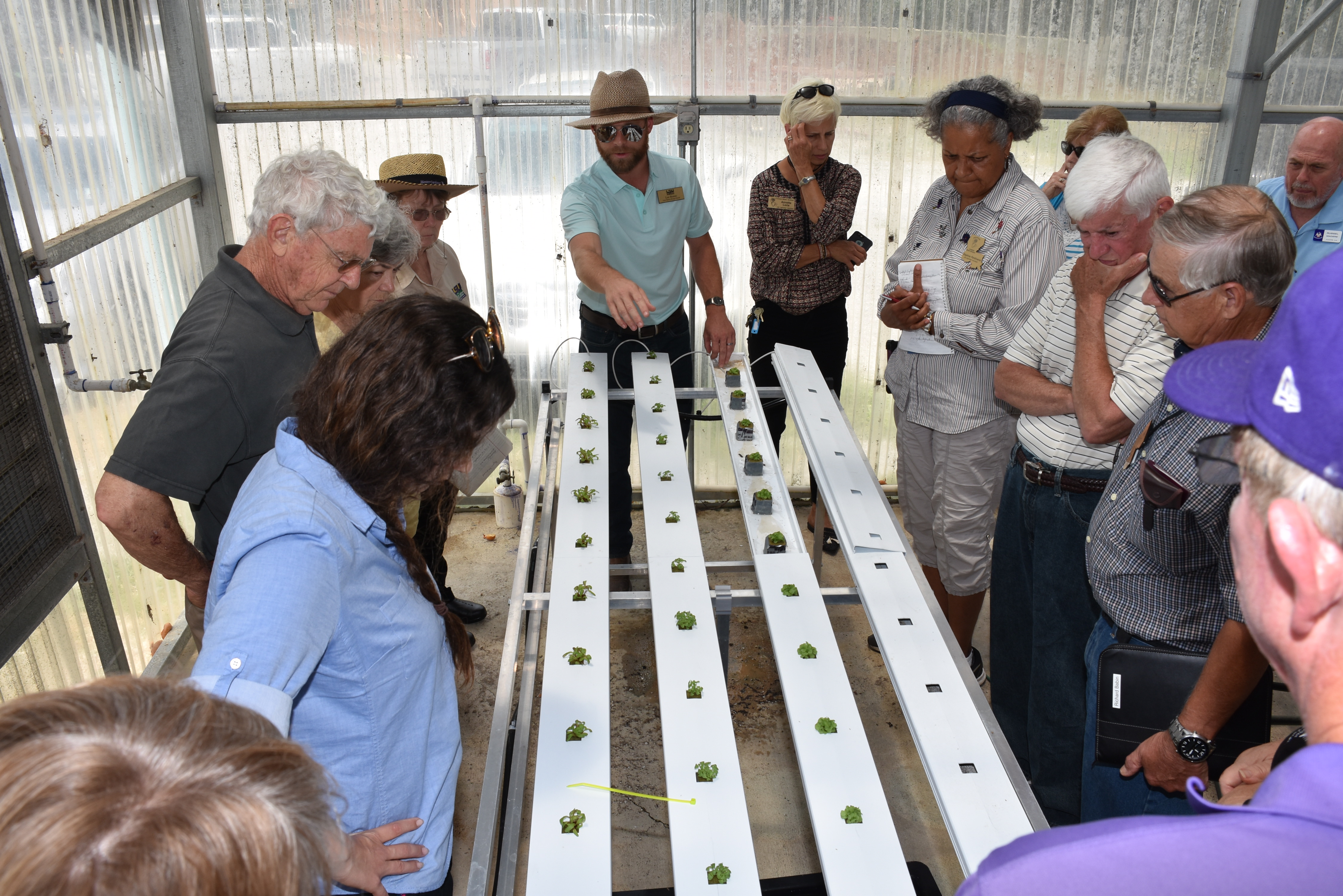 Niche for hydroponic vegetables, herbs discussed at meeting