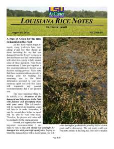 Louisiana Rice Notes #9 – 2nd Flood Edition