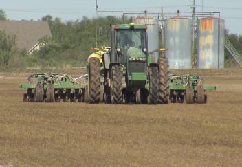 Rice growing well, planting continuing