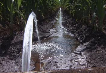 Dry weather causing farmers to irrigate early