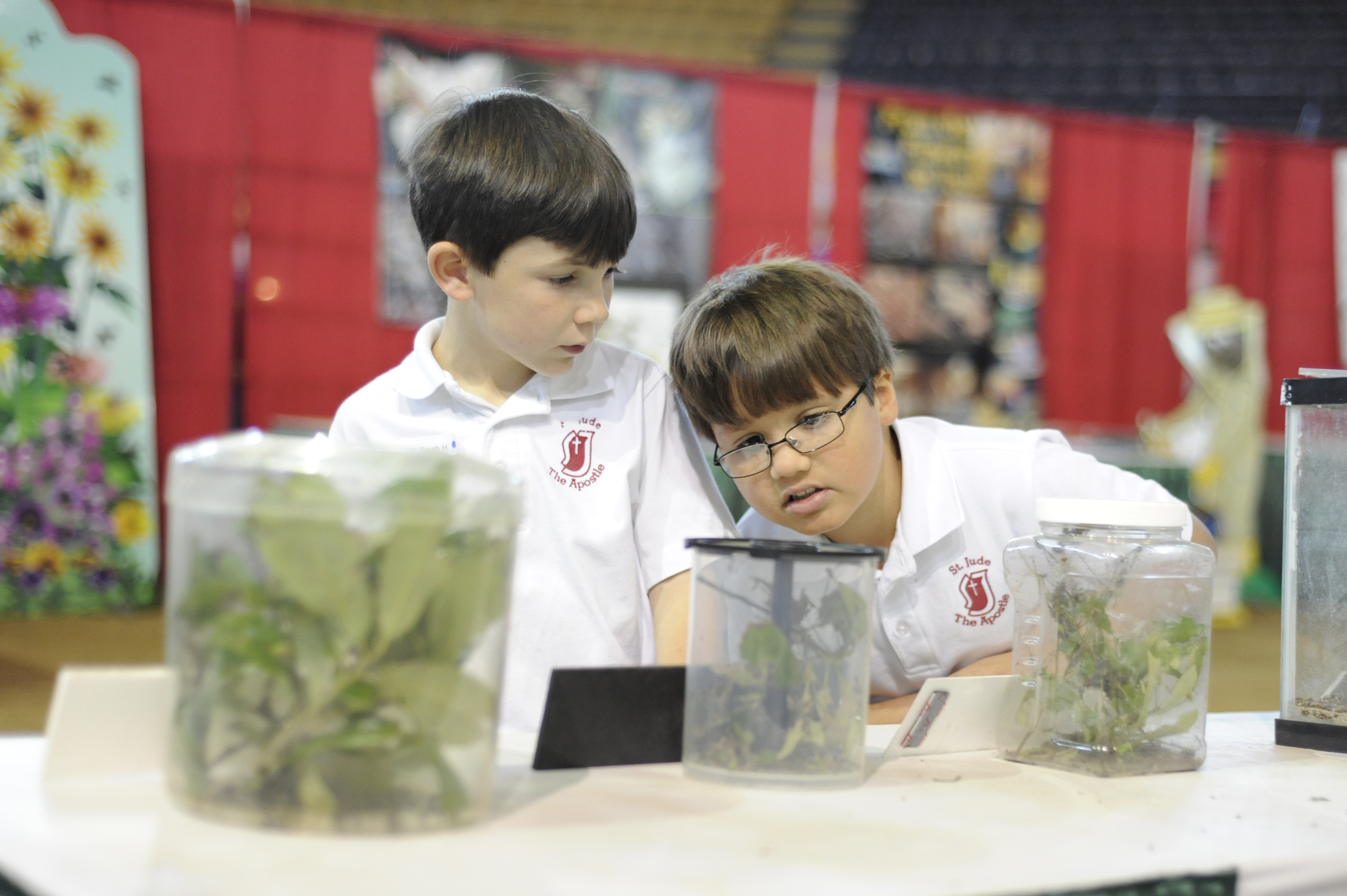 looking at plants