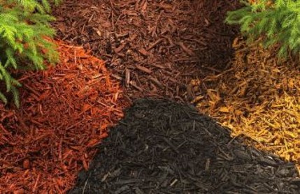 Mulch Has It Covered