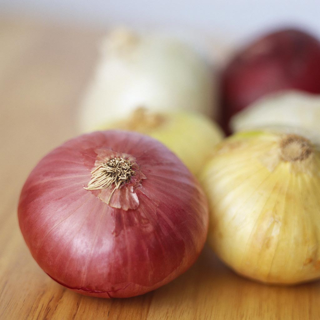 onionsjpg