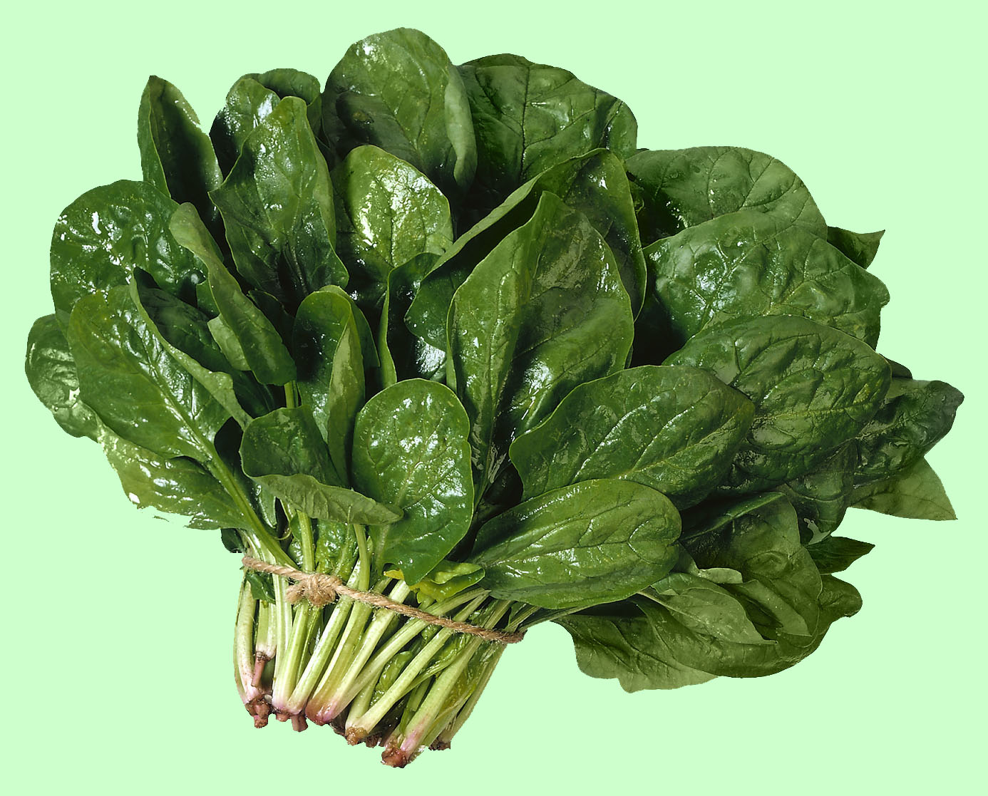 Kids Can Learn At Produce Market