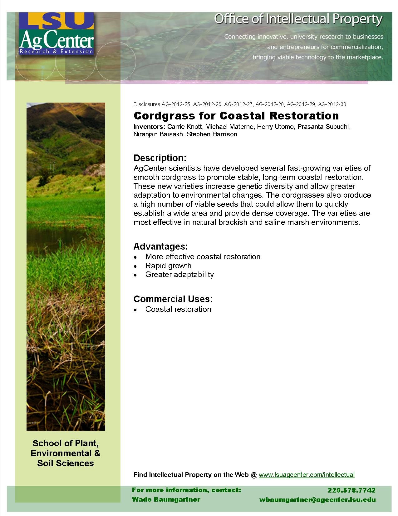 Cordgrass for Coastal Restoration