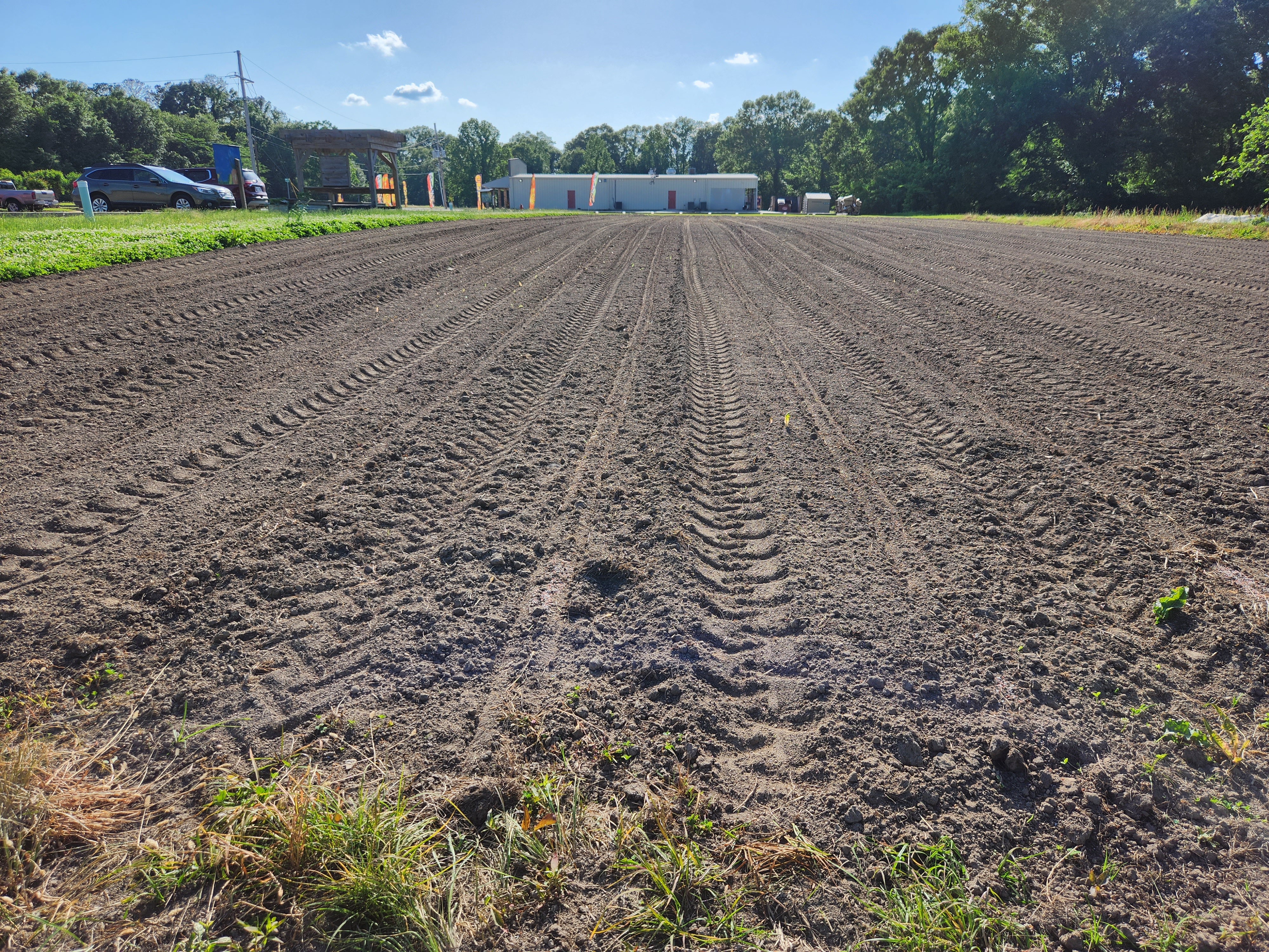 Managing Weeds in the Vegetable Garden, Part 2: Start With a Clean Slate