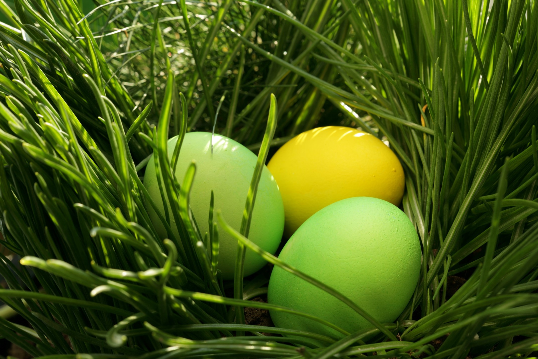 easter.jpg thumbnail